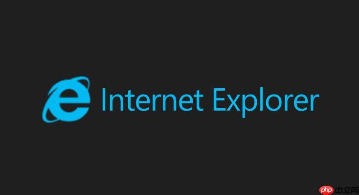 ie浏览器绿色版官方入口-ie高速浏览器网页版登录链接