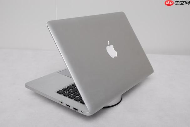 苹果电脑屏幕黑点如何处理？检查硬件损伤与更换屏幕