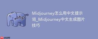 Midjourney怎么用中文提示词_Midjourney中文生成图片技巧
