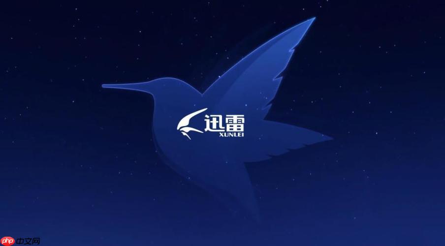 迅雷网盘会员怎么开通_迅雷网盘会员开通流程与特权介绍