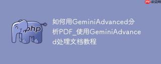 如何用GeminiAdvanced分析PDF_使用GeminiAdvanced处理文档教程