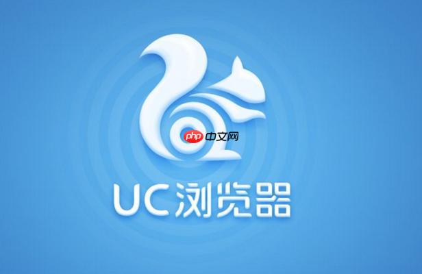 uc浏览器直连网站-uc浏览器在线进入链接