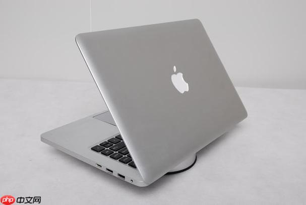 苹果电脑屏幕出现彩色条纹如何修复？重置显卡与检查硬件