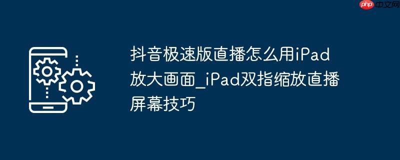 抖音极速版直播怎么用ipad放大画面_ipad双指缩放直播屏幕技巧