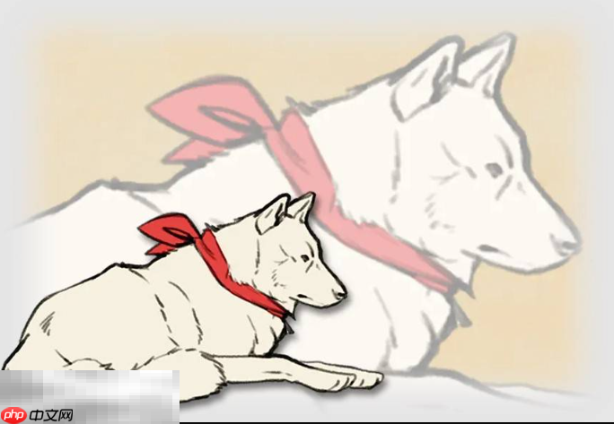 超级忍反攻的斩击有哪些角色 全人物背景介绍​