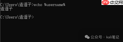 Windows提权备忘录