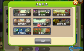 创意庭院终极手册：打造你的专属植物王国