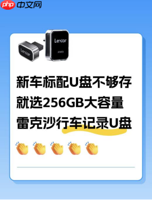 特斯拉ModelY L 出行搭档！雷克沙行车记录U盘守护每段旅程