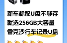 特斯拉ModelY L 出行搭档！雷克沙行车记录U盘守护每段旅程