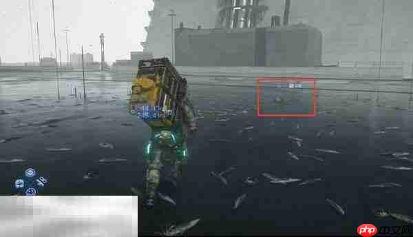 死亡搁浅2第3节-卓布里吉 No.12怎么过 第3节-卓布里吉 No.12图文流程攻略