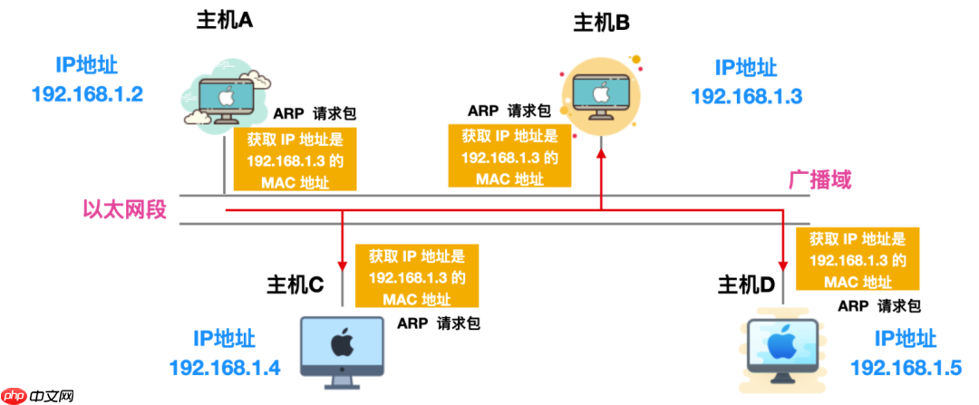 ARP，这个隐匿在计网背后的男人