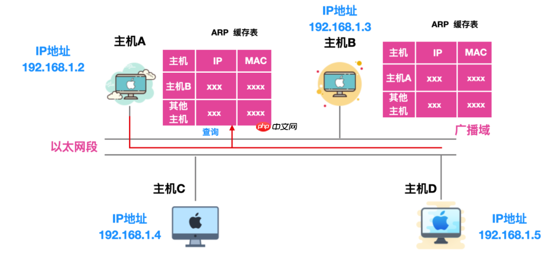ARP，这个隐匿在计网背后的男人