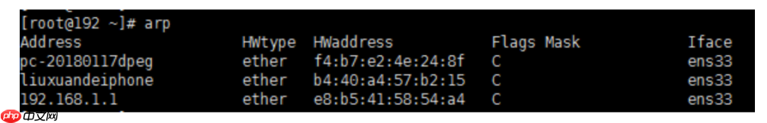 ARP，这个隐匿在计网背后的男人