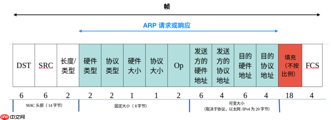 ARP，这个隐匿在计网背后的男人