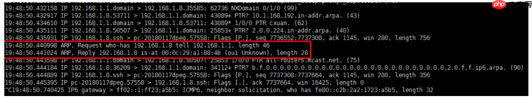 ARP，这个隐匿在计网背后的男人