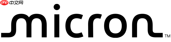 美光中国以多元平等包容理念凝聚青年力量，再度获评大学生喜爱雇主品牌