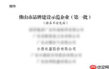 入选佛山“品牌建设示范企业”，小熊电器成“高品质”标杆