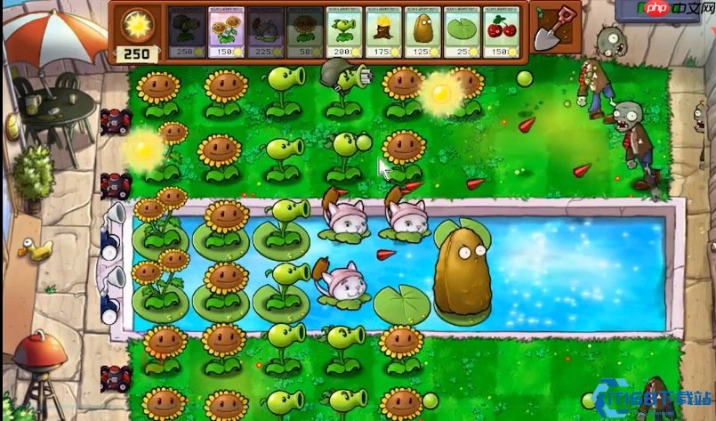 十字阵终极攻略：54关红眼巨人克星手册