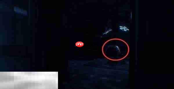 死亡搁浅2第16节-明日怎么过 第16节-明日图文流程攻略