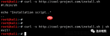 Terminal Escape Injection