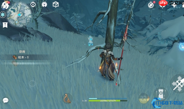 原神海祇岛35个灵芝速刷路线:20分钟搞定全采集