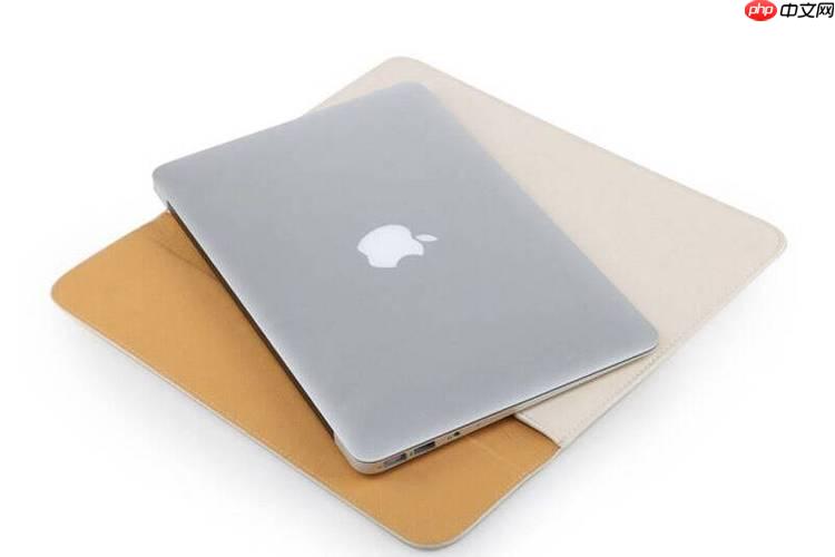 如何修复苹果电脑扬声器无声？检查音量与音频输出设置