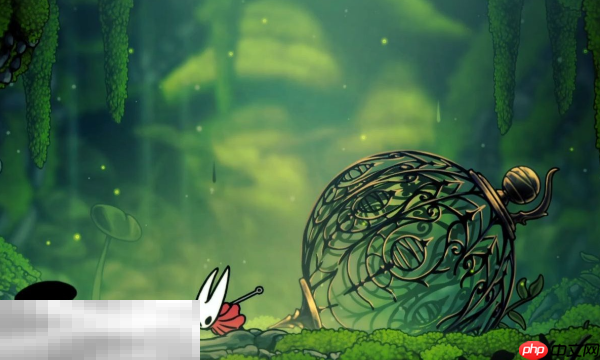 空洞骑士丝之歌可以联机吗 联机功能情况说明​