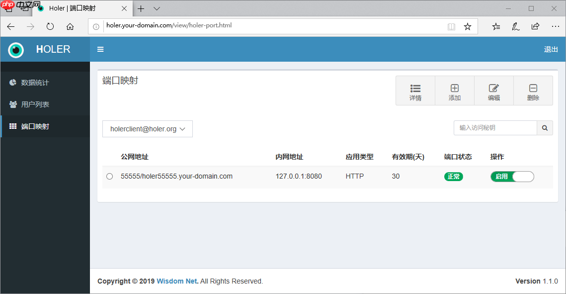 使用Holer服务端软件搭建属于自己的内网穿透