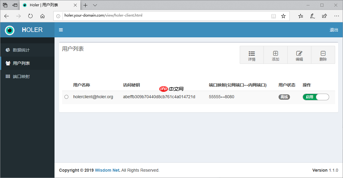 使用Holer服务端软件搭建属于自己的内网穿透