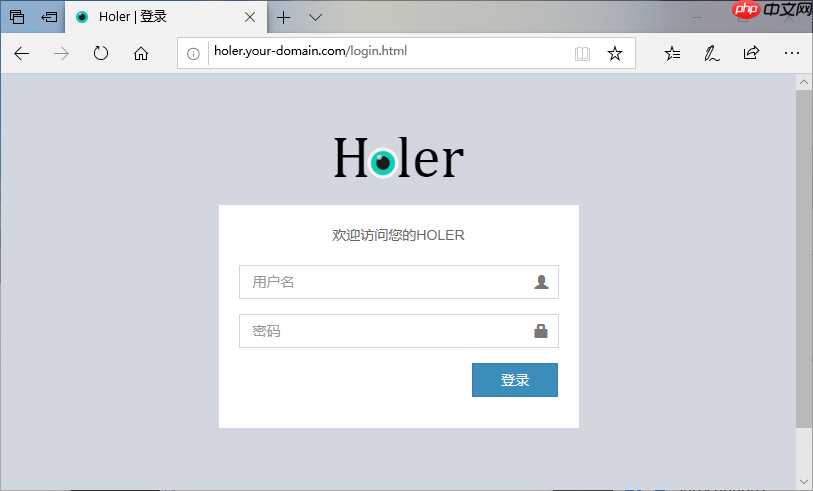 使用Holer服务端软件搭建属于自己的内网穿透