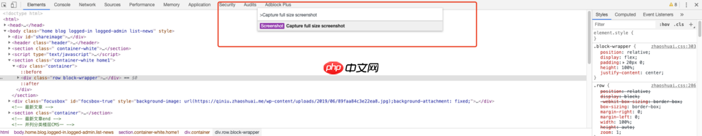 【Mac】Chrome 浏览器长截图