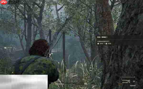 合金装备3重制版养蜂专家成就解锁方法 养蜂专家成就