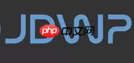 Java远程调试（Remote Debugging）的那些事