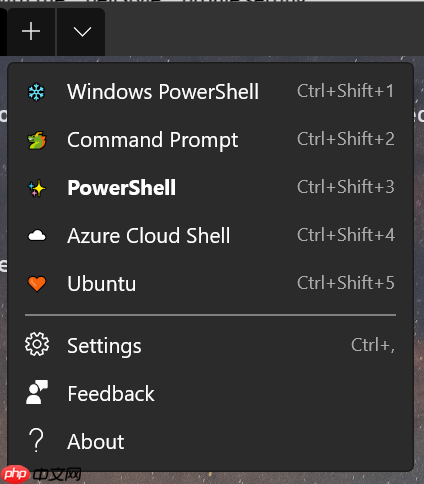 Windows Terminal Preview 1.5 发布!