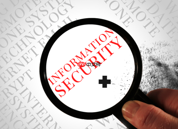 渗透测试安全检测漏洞