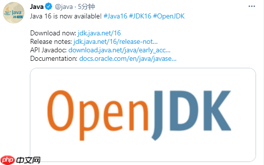 Java 16 正式发布，已经是Java 8的两倍了
