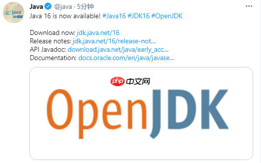 Java 16 正式发布，已经是Java 8的两倍了
