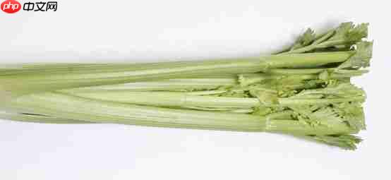 Celery实现定时任务crontab