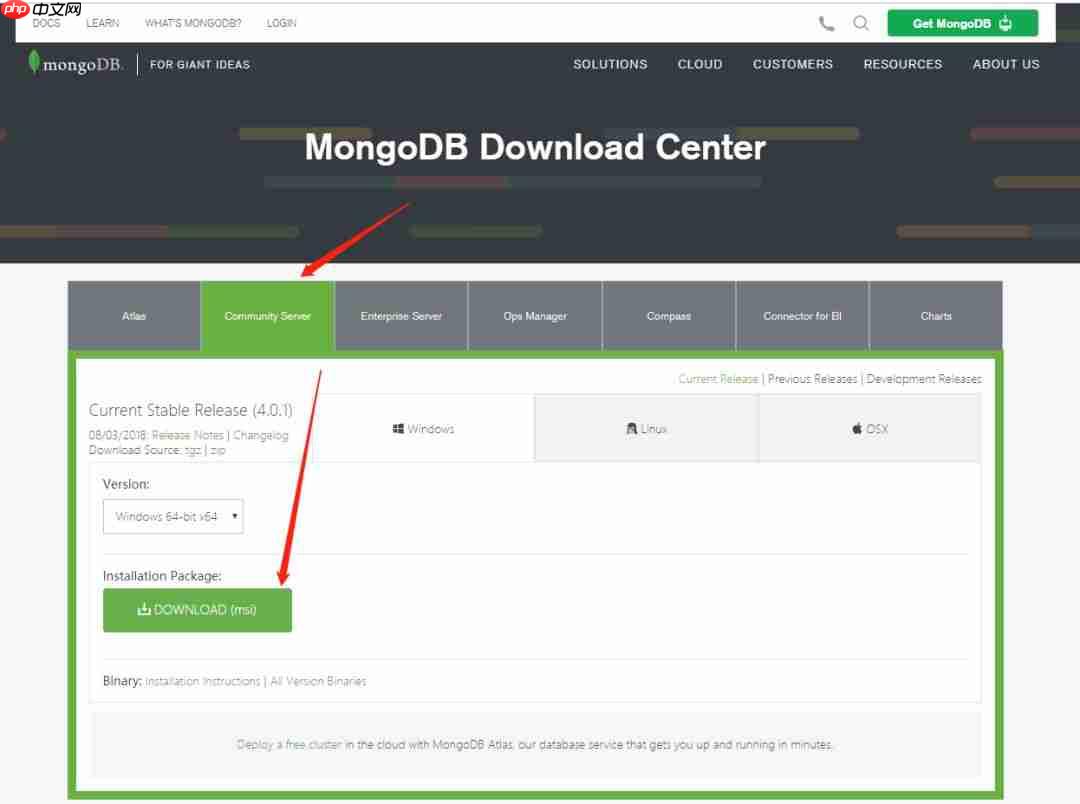 这次简单多了，最新版 MongoDB 安装