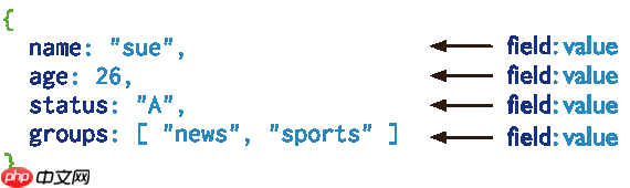 这次简单多了，最新版 MongoDB 安装