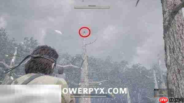 合金装备3重制版罗高博伊小黄鸭位置攻略 罗高博伊小黄鸭在哪