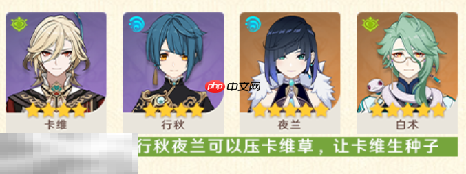 原神卡维怎么配队 卡维配队大全攻略
