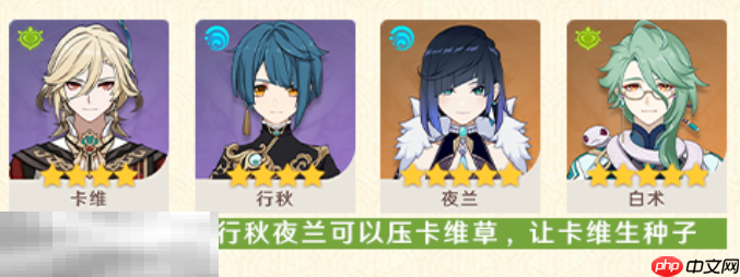 原神卡维卡行夜白队怎么玩 卡维配队大全攻略
