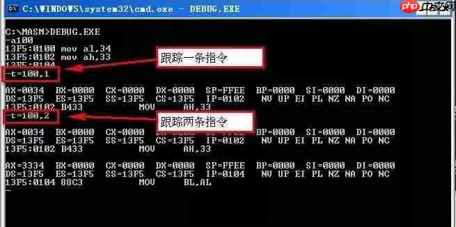 Debug究竟是什么意思?