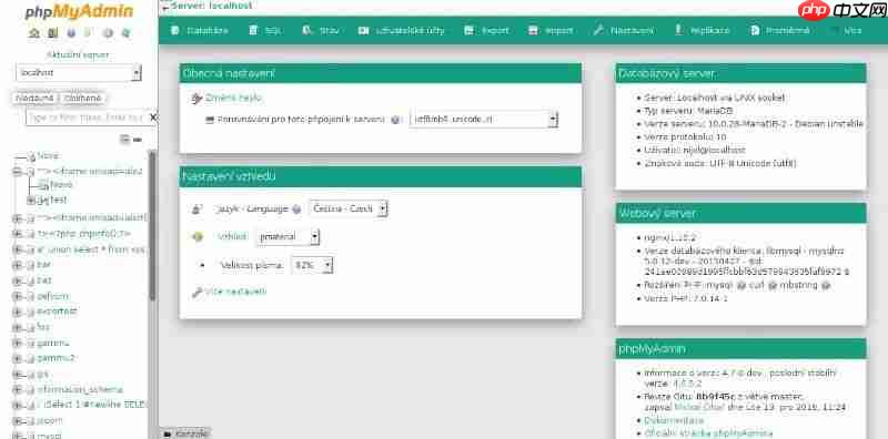 来来来~送你一个不一样的phpMyAdmin