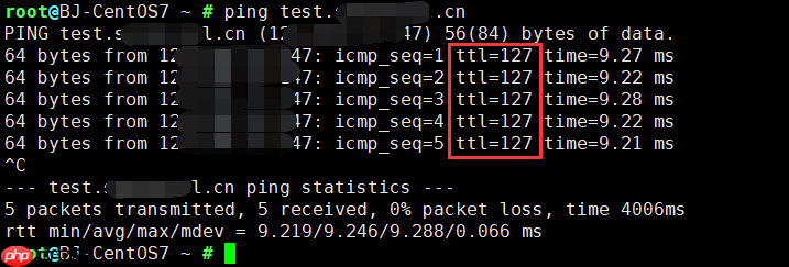 ping IP/域名时TTL值代表什么?