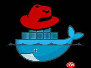 「实战篇」开源项目docker化运维部署-linux和docker基本命令(三)